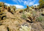photo thumbnail #8