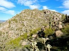 photo thumbnail #9