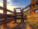 photo thumbnail #7