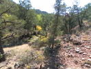 photo thumbnail #8
