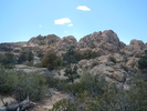 photo thumbnail #1