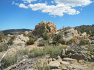 photo thumbnail #5