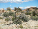 photo thumbnail #6