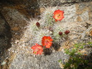photo thumbnail #7