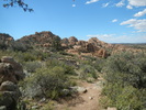 photo thumbnail #8
