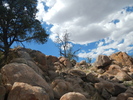 photo thumbnail #12