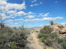 photo thumbnail #13