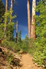 photo thumbnail #4