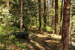 photo thumbnail #9