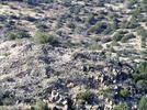 photo thumbnail #4