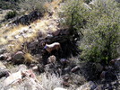 photo thumbnail #11