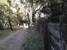 photo thumbnail #12