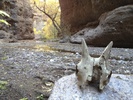photo thumbnail #13