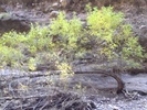 photo thumbnail #14