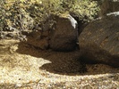 photo thumbnail #15