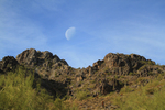photo thumbnail #2