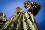 photo thumbnail #4