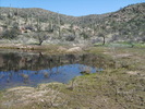 photo thumbnail #4