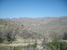 photo thumbnail #5