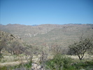 photo thumbnail #6