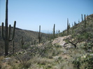 photo thumbnail #8