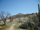 photo thumbnail #9