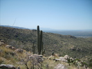 photo thumbnail #11