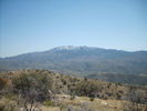 photo thumbnail #15