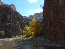 photo thumbnail #15