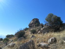 photo thumbnail #13
