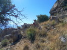 photo thumbnail #14