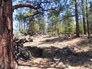 photo thumbnail #9