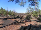 photo thumbnail #13