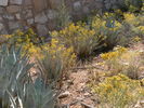 photo thumbnail #12