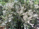 photo thumbnail #13