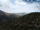 photo thumbnail #14