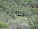 photo thumbnail #15
