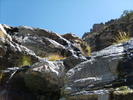 photo thumbnail #11