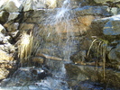 photo thumbnail #12