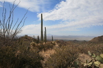 photo thumbnail #1