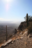 photo thumbnail #11