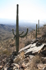 photo thumbnail #12