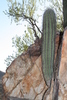 photo thumbnail #14