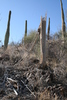 photo thumbnail #15