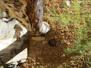 photo thumbnail #13