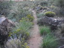 photo thumbnail #4