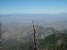 photo thumbnail #8