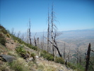 photo thumbnail #9