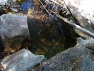 photo thumbnail #10