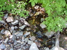 photo thumbnail #11